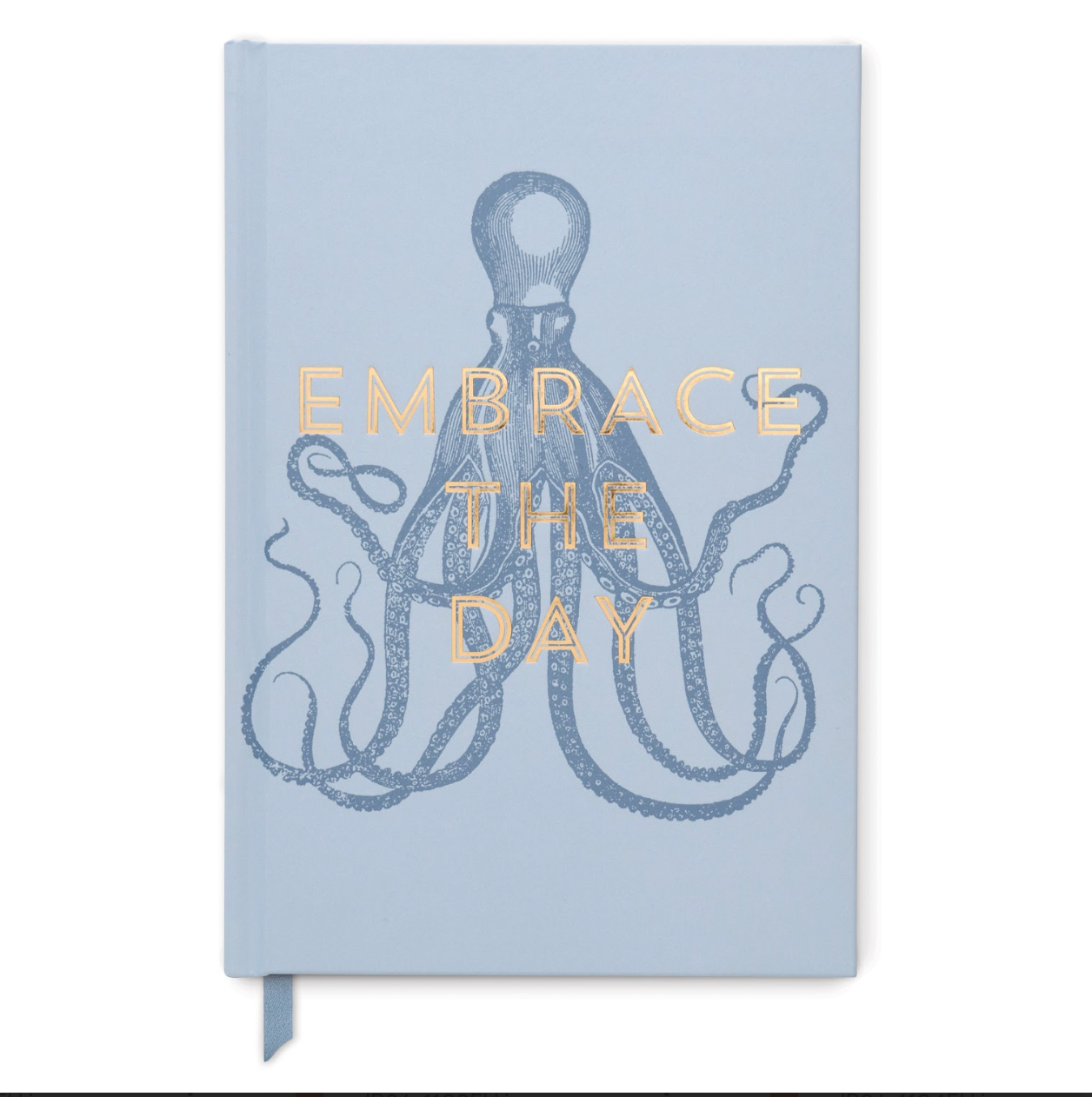 Embrace The Day